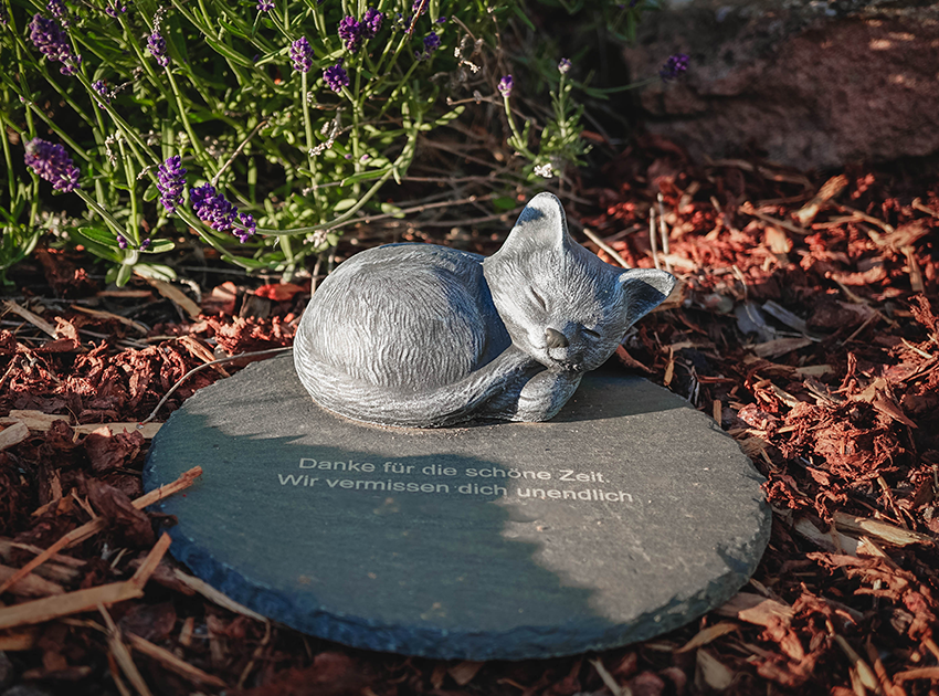 Grabstein Katze